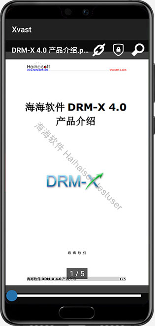 DRM-X 4.0 Protecttion